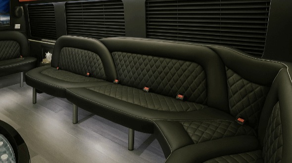 kentucky 14 passenger sprinter limousine rental